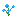 potted_blue_orchid