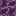 chorus_plant