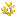 horn_coral