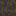 muddy_mangrove_roots