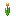 orange_tulip