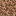 rooted_dirt