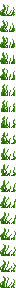 seagrass