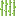 sugar_cane