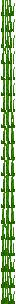 tall_seagrass