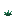 torchflower_crop