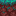 warped_nylium